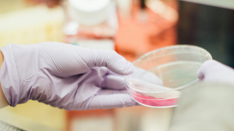 Evidence in Action: Driving Oncology Asset Valuation for an Informed Investment